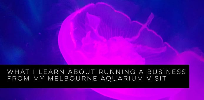 What I Learn About Running a Business from my Melbourne Aquarium Visit
