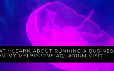 What I Learn About Running a Business from my Melbourne Aquarium Visit
