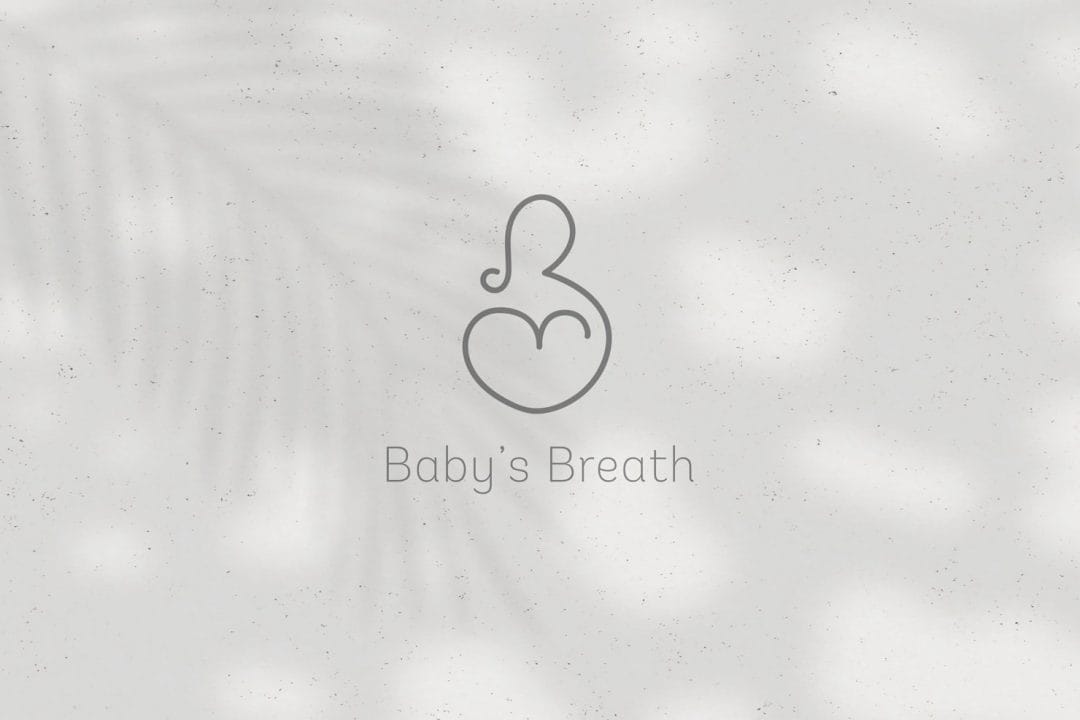 babys breath health catering logo