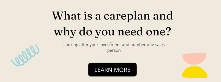 what is a website careplan and why do you need one